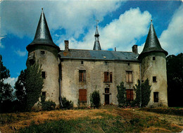 Le Poiré Sur Vie * Le Château De La Métairie - Poiré-sur-Vie