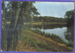 Carte Postale 59. Solre-le-Chateau  Hopital Départemental De Felleries-Liessies  L'étang   Très Beau Plan - Solre Le Chateau