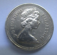 Monnaie Pièce Anglaise - 1983 -  One Pound -  ELYZABETH  II   TBE - 1 Pound