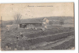 CPA 95 Presles Cressonniers à Courcelles - Presles