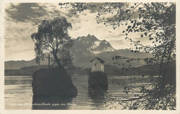 Switzerland Postcard Am Meggenhorn Inseln Gegen Den Pilatus 1928 - Meggen