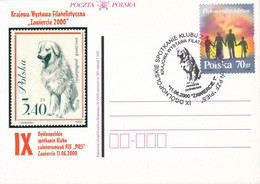 2000.06.11. Dog - Special Postmark - POWA - Brieven En Documenten