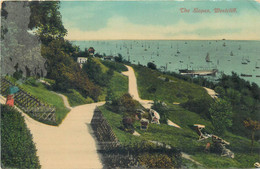 Westcliff Slopes - Southend, Westcliff & Leigh