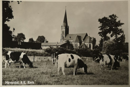 Nijverdal (Ov.) R. K. Kerk Met Koeien 19?? Dun Adreszijde - Nijverdal