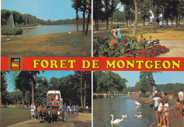 76, Le Havre, Forêt De Montgeon, Multivues - Forêt De Montgeon