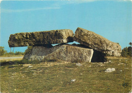 Postcard France Vaour Tarn Le Dolmen - Vaour