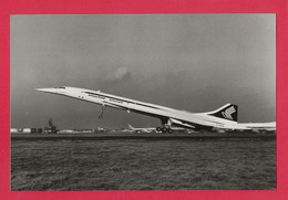 BELLE PHOTO REPRODUCTION AVION PLANE FLUGZEUG - CONCORDE SINGAPORE AIRLINES G-BOAD - Aviation