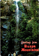 (3 L 20 (OZ) Australia - QLD - Bunya Mountains Waterfall - Atherton Tablelands