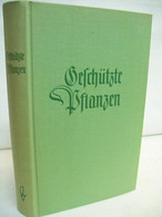 Geschützte Pflanzen : [Die In Deutschland Geschützten Pflanzenarten. Gesetzl. Bestimmungen. Vollkommen Geschüt - Dieren