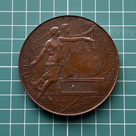Medal Plakette PL000163 Hungary Serbia Subotica Kiallitasi Erem Az Erdem Jutai Maul Regimental National Association 1896 - Other & Unclassified