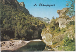 Le Champignon  Gorges Du Tarn - Champignons