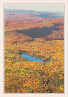 A20075 - PRINCE RUPERT LACS ET FORETS CANADA FAUGERE EXPLORER IMPRIME EN CEE AUTUMN FOREST LAKE - Prince Rupert