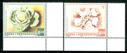 BOSNIA HERZEGOVINA 2006** - Vegetables - 2 Val. MNH. - Légumes