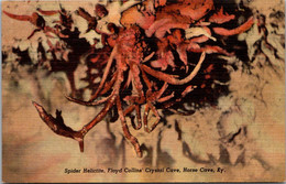 Kentucky Horse Cave Floyd Collins' Crystal Cave Spider Helictite Curteich - Sonstige & Ohne Zuordnung