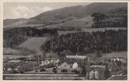 B8744) EDLACH - NÖ - Hotel EDLACHERHOF - Alt ! 1932 - Raxgebiet