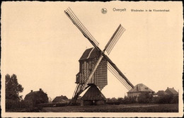 Overpelt  Windmolen In De Kloosterstraat Molen Moulin - Overpelt