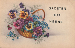 Herne : Groeten Uit .... - Herne