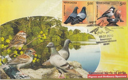 India 2010  Pegeon And Sparrow  Special Limited Edition  FDC  #  34577 D  Inde Indien - Moineaux