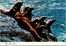 Oregon Coast Sea Lion Cave - Altri & Non Classificati