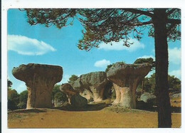 SETAS EN LA PLAZA MAYOR.- LA CIUDAD ENCANTADA.-  CUENCA.- ( ESPAÑA) - Cuenca