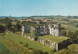 BIDACHE. - Château Des Ducs De GRAMONT. Cliché RARE - Bidache