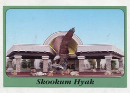 AK 086469 USA - Oregon - Canyonville - Seven Feathers Hotel & Casino Resort - Skookum Hyak - Altri & Non Classificati