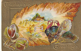 Thanksgiving Greetings - Thanksgiving