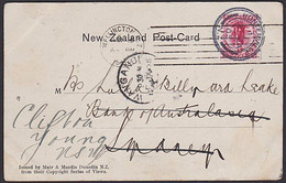 GIANT PETREL GULL NZ 1905 POSTCARD HUNTERVILLE H-CLASS & WELLINGTON MACHINE ROLLER POSTMARKS - Storia Postale