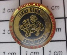 512H Pin's Pins / Beau Et Rare / SPORTS /  TEKKI Toi CLUB SOULIMANT KARATE DO SHOTOKAN - Judo