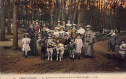 CPA - 94 - SAINT MANDE - La Voiture Aux Chèvres Au Lac De Saint Mandé - Enfants - Famille - Colorisée - LL - Saint Mande