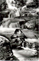Twannbachschlucht - Gorges De Douanne - Waterfall - 303 - Old Postcard - Switzerland - Unused - Douanne-Daucher