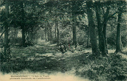 Châteaubriant * Le Bois De Tugny * Promenade Dominicale Des Castelbriantais - Châteaubriant