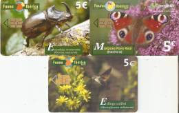 ¡¡OFERTA!! LOTE DE LAS 3 ULTIMAS TARJETAS FAUNA IBERICA POR SÓLO 1,50 EUROS (MARIPOSA-BUTTERFLY) - Altri & Non Classificati