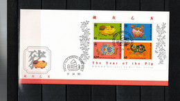 Hong Kong 1995 Year Of The Pig Block FDC - FDC