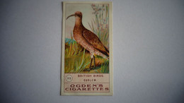 BRITISH BIRDS N° 33 CURLEW Oiseau Bird  Cigarettes OGDEN'S Tobacco Vignette Trading Card Chromo - Ogden's