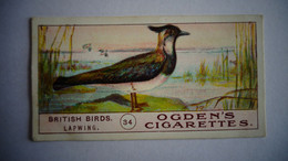 BRITISH BIRDS N° 34 LAPWING  Oiseau Bird  Cigarettes OGDEN'S Tobacco Vignette Trading Card Chromo - Ogden's