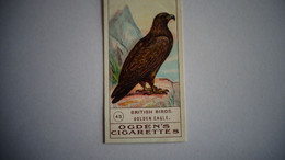 BRITISH BIRDS N° 43 GOLDEN EAGLE Aigle Royal Oiseau Bird  Cigarettes OGDEN'S Tobacco Vignette Trading Card Chromo - Ogden's