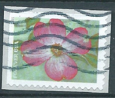 VEREINIGTE STAATEN ETATS UNIS USA 2021 GARDEN FLOWERS: PINK DOGWOOD F USED ON PAPER SC 5558 MI 5791 YT 5400 - Used Stamps