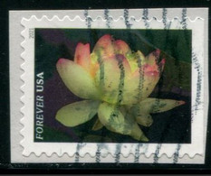VEREINIGTE STAATEN ETATS UNIS USA 2021 GARDEN FLOWERS: YELLOW AMERICAN LOTUS F USED ON PAPER SC 5567 MI 5800 YT 5409 - Used Stamps