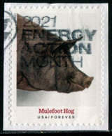 VEREINIGTE STAATEN ETATS UNIS USA 2021 HERITAGE BREEDS: MULEFOOT HOG F USED ON PAPER SC 5583 MI 5816 YT 5425 - Used Stamps