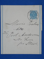 BH14 DANMARK  BELLE LETTRE BANDE JOURNAL  ENTIER  RRR  1892 ++A SKIVE? ++AFF. INTERESSANT++ - Interi Postali