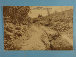 Les Hovas Emplacement De La Ferme Ardennaise - Stoumont