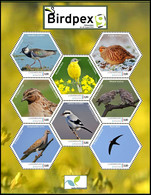 Timbre Privé / Privézegel** - Luxembourg - Birdpex 9 - Vanellus Vanellus - Perdrix Perdrix - Motacilla Flava ... - Perdrix, Cailles