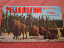 YELLOWSTONE - National Park - Dépliant 8 Vues Double Face - Autres & Non Classés