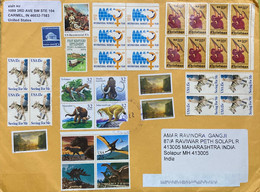 USA COVER TO INDIA 2022, TOTAL 36 STAMPS AFFIXED MOSTLY WITHOUT CANCELLATION,FACE VALUE 6 DOLLAR !!! ELEPHANT, Dinosaur, - Cartas & Documentos