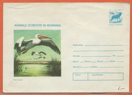 OISEAUX PELICANS ROUMANIE ENTIER POSTAL DE 1977 - Pellicani