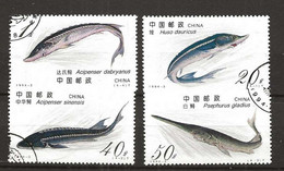 China 1994 Fishes, Sturgeons   Mi  2521 - 2524  Cancelled(o) - Gebraucht