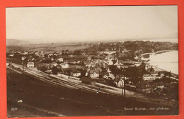 ZSI-25 Saint-Blaise, La Ligne De Train Et La Gare. Sepia.  Perrochet-Matile 3677 - Saint-Blaise