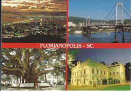 Florianopolis - Pont Hercilio Luz - Figuier Centenaire - Musée Cruz E Souza - Florianópolis