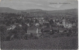 Bäretswil Gesamtansicht 1912 - Bäretswil